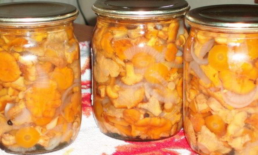 Рецепт консервированные жареные лисички