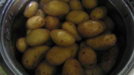 лисички жареные с картофелем