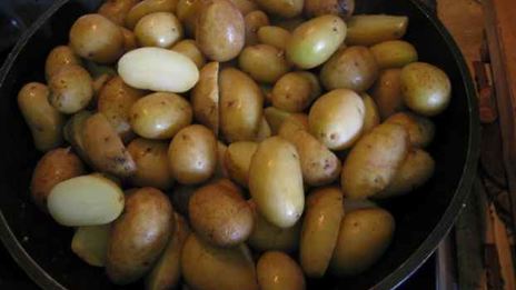 лисички жареные с картофелем