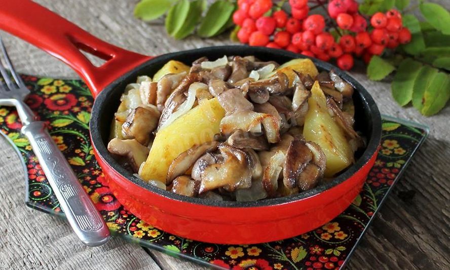 Рецепт маслята жареные с картошкой