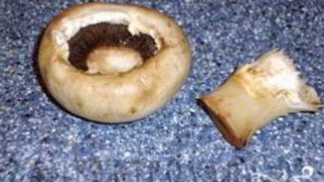 шампиньоны фаршированные в духовке