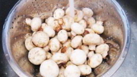 шампиньоны консервированные