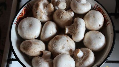 шампиньоны на мангале