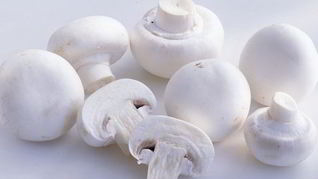 Шампиньоны в сливочном соусе