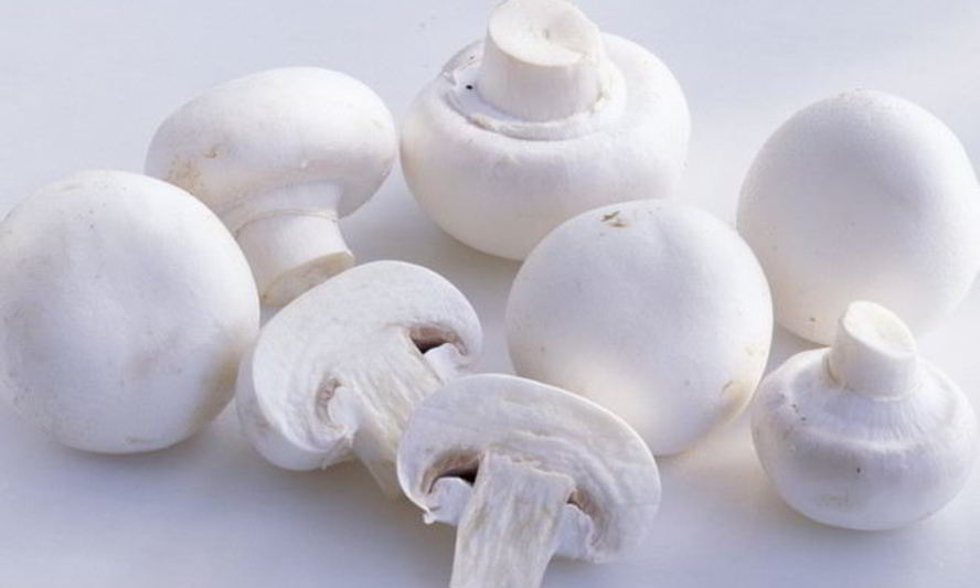 Рецепт шампиньоны в сливочном соусе