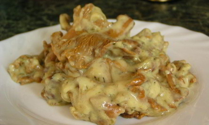 Рецепт гуляш из лисичек