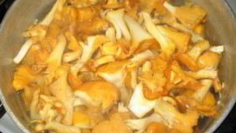 гуляш из лисичек