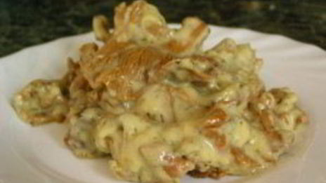 гуляш из лисичек