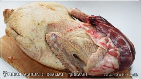 лапша домашняя с домашней уткой и белыми грибами