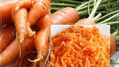 лапша домашняя с домашней уткой и белыми грибами