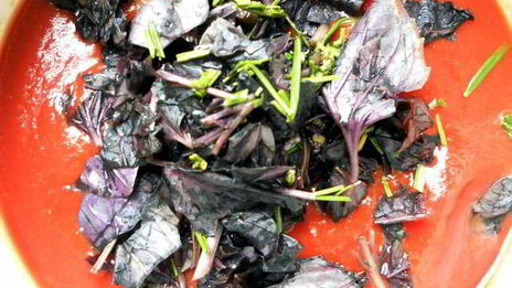 лазанья из ржаных блинчиков с курицей, томатами и базиликом