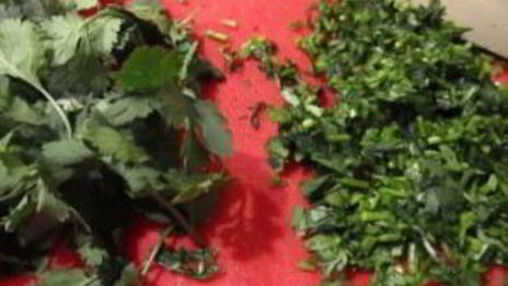 мексиканская лазанья