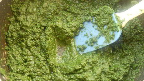 паста ракушки со шпинатом, рикоттой и кедровыми орешками