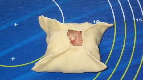 манты дружба с тройным мясом