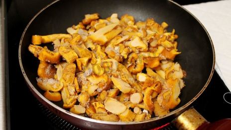 картошка по-французски с грибами лисичками в духовке