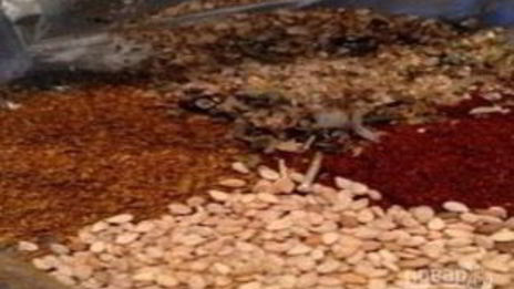 куриные крылышки, запеченные в микроволновке