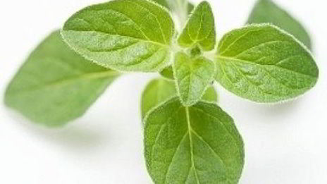 цыпленок с соусом из помидоров и перца