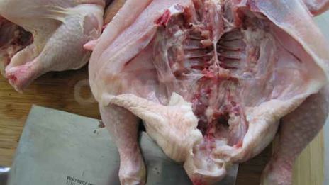 цыплята табака