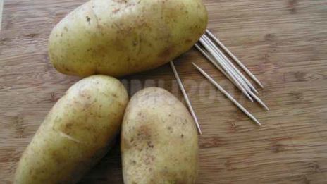 цыплята табака