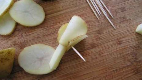 цыплята табака