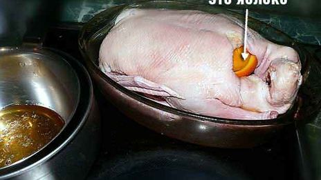 жареная утка в пиве