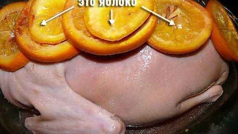 жареная утка в пиве