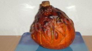 Тыква, фаршированная рисом и мясом, и со сказкой