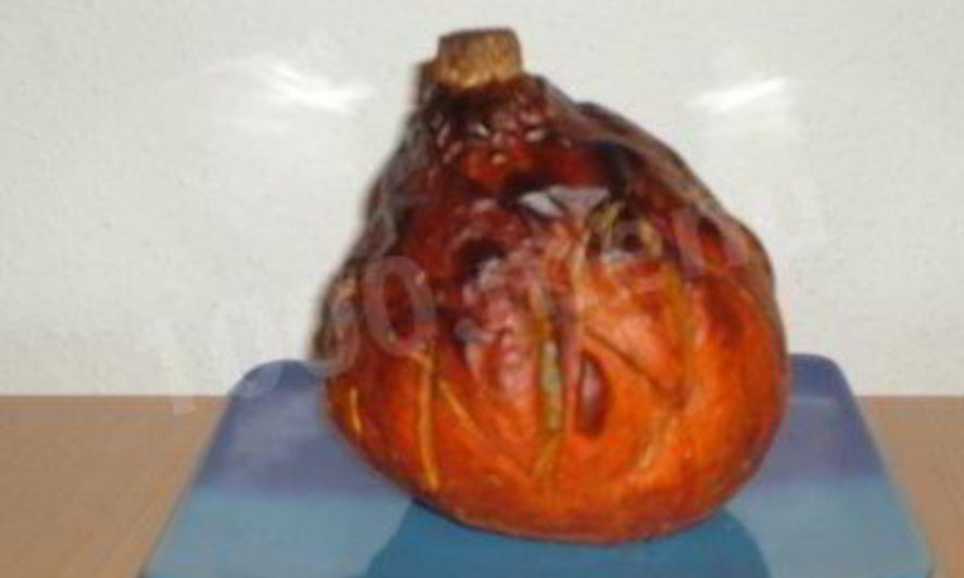 Рецепт тыква, фаршированная рисом и мясом, и со сказкой