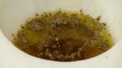 запеченный сладкий перец с грецкими орехами