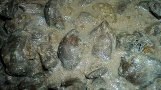 Говяжья печень в сметане