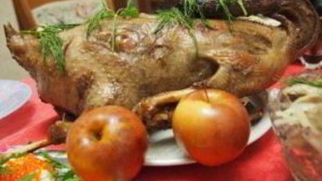 гусь с гречкой, грибами и печенью