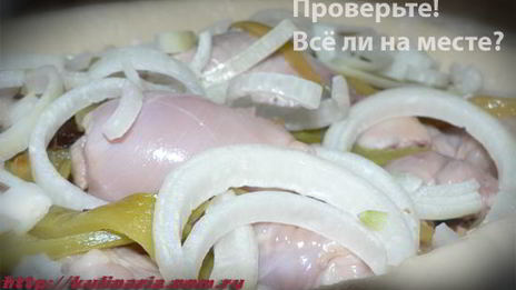 бесспешкопельмень