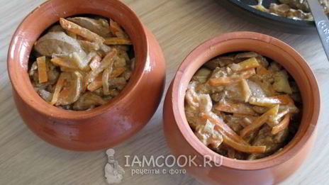 пельмени по-амурски в горшочках