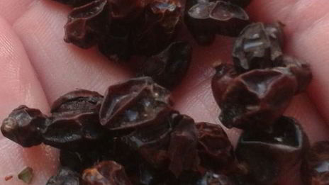 плов из курицы на здоровье