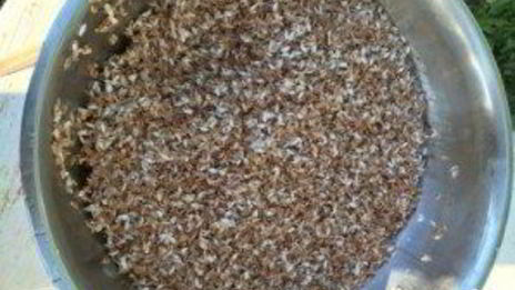 плов узбекский классический