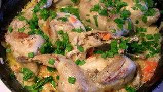 Фрикасе из куропатки