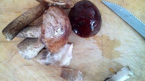 тыквенные галушки с грибным рагу