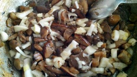 тыквенные галушки с грибным рагу