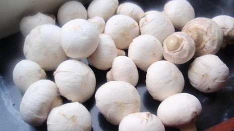 утиное филе в кунжуте с грибным рагу и картофельными дольками