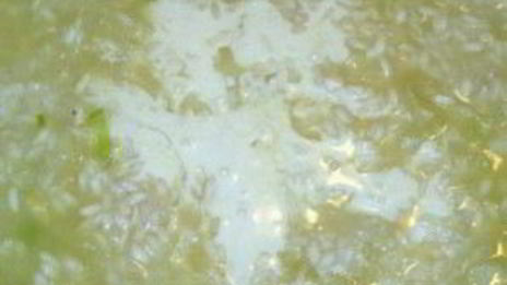 ризотто с миндалем