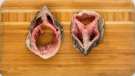 фаршированная рыба