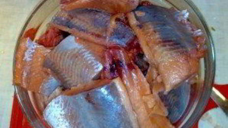 малосольная горбуша