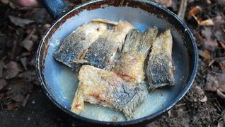 Налим обжаренный на масле