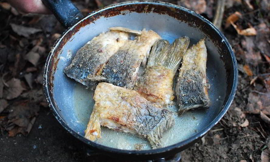 Рецепт налим обжаренный на масле