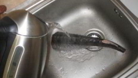 осетрина в духовке в фольге