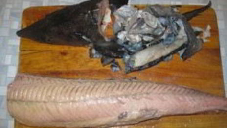 осетрина в духовке в фольге