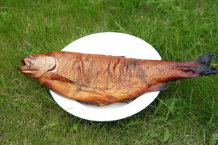 Радужная форель в коптильне