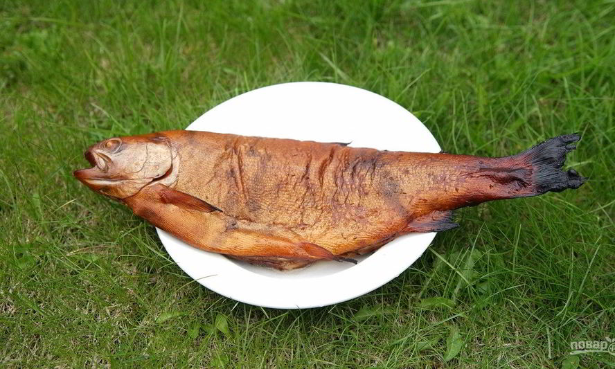 Рецепт радужная форель в коптильне