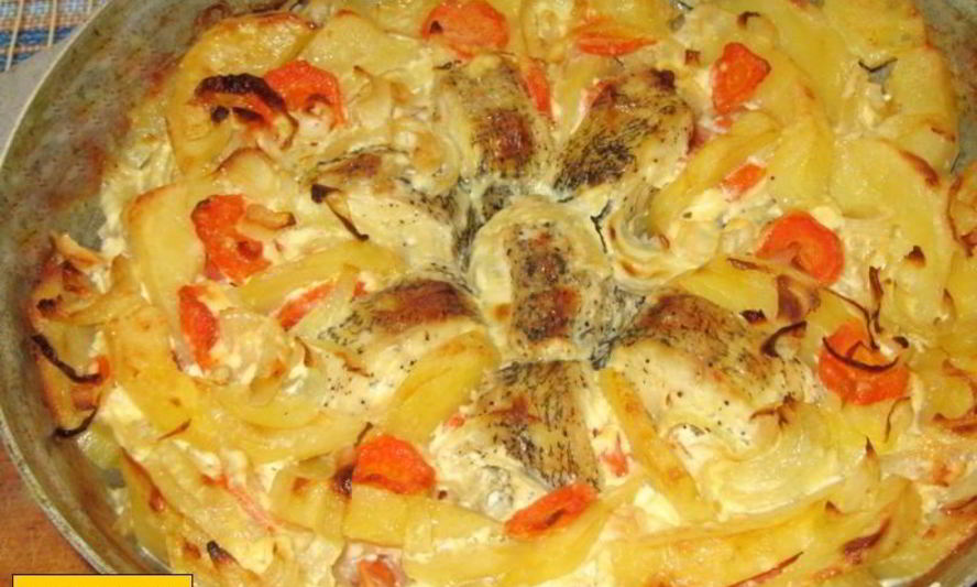 Рецепт щука с картошкой в духовке со сметаной