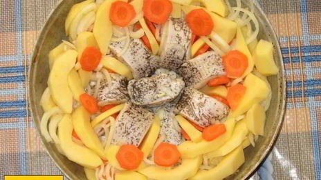 щука с картошкой в духовке со сметаной